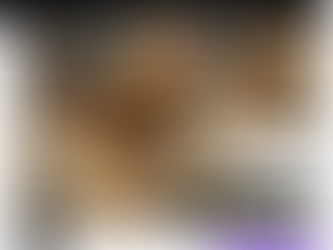 Gallo de la raza Brahma en color buff azul de 7 meses línea turca