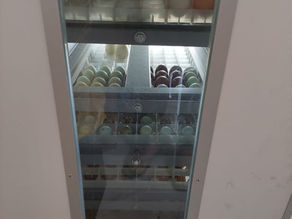 Servicio de incubación Lima