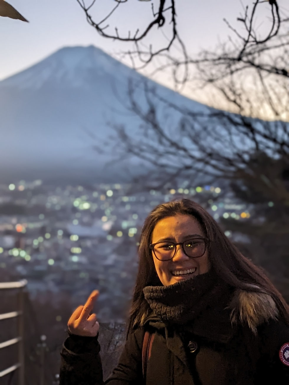 I Swear I'm a Working Professional