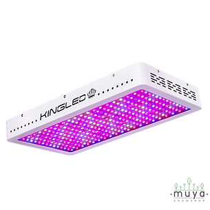 Luces de crecimiento para plantas
