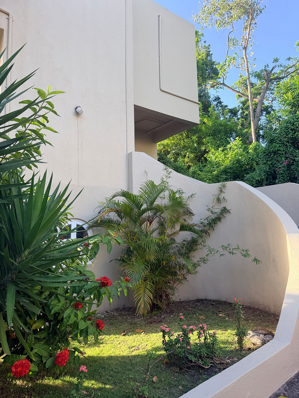 Picture of beautiful garden