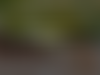 หนี้ครัวเรือนต่อจีดีพีไตรมาส 2/62 ทรงตัวที่ 78.7%