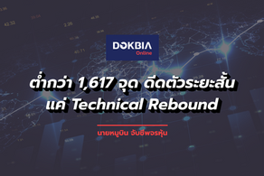 ต่ำกว่า 1,617 จุด ดีดตัวระยะสั้นแค่ Technical Rebound