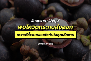 วิกฤตราคา 'มังคุด'...พิษโควิดกระทบส่งออก เคราะห์ซ้ำระบบขนส่งทำมังคุดเสียหาย