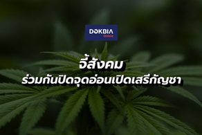 จี้สังคมร่วมกันปิดจุดอ่อนเปิดเสรี...'กัญชา' ดาบสองคม ห่วงได้ไม่เท่าเสีย