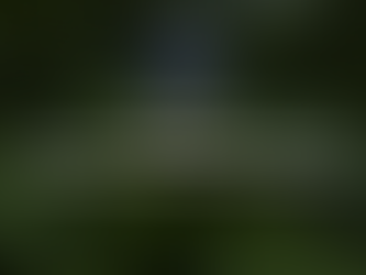 จี้สังคมร่วมกันปิดจุดอ่อนเปิดเสรี...'กัญชา' ดาบสองคม ห่วงได้ไม่เท่าเสีย