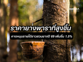 ราคายางพาราของไทยปี 2569 คาดสูงขึ้น 4.8% (ศูนย์วิจัยกสิกรไทย Infographic)