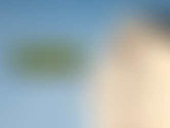 พลัสฯ ชู 6 ทำเลบ้านเดี่ยว ตอบโจทย์เรียลดีมานด์