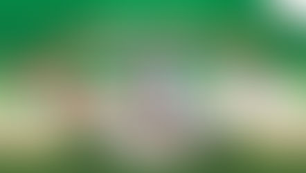 SAM งัดโปรฯเด็ด ขนทรัพย์ NPA ทำเลดี กว่า 4,000 รายการทั่วประเทศร่วมงานมหกรรมบ้านและคอนโด ณ ศูนย์ฯ สิริกิติ์ 20-23 มี.ค.นี้