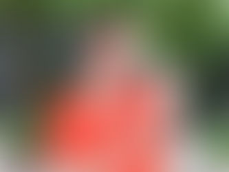 อยู่บ้านก็ซื้อทรัพย์มือสองของ ธอส. ได้ ด้วยแอป GHBank Smart NPA ดูง่าย จองสบาย ในแอปเดียว