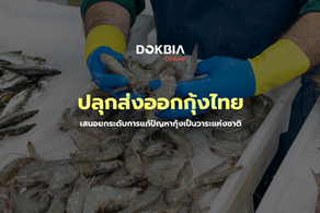 ปลุกส่งออกกุ้งไทยแสนล้าน/ปี....เสนอยกระดับการแก้ปัญหากุ้งเป็นวาระแห่งชาติ