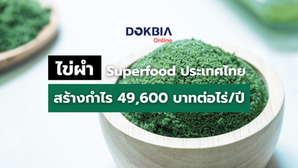 ไข่ผำ Superfood แห่งประเทศไทย รายได้ดี และสรรพคุณสูง