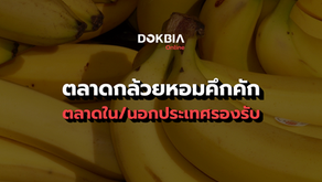 ตลาดกล้วยหอมคึกคัก ตลาดใน/นอกประเทศรองรับ