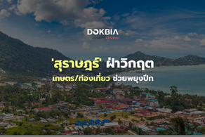 'สุราษฎร์' ฝ่าวิกฤต...เกษตร/ท่องเที่ยว ช่วยพยุงปีก