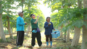 ผู้จัดการ ธ.ก.ส. เยี่ยมชมงานลูกค้าและเยี่ยมสาขาในพื้นที่ จ.สระแก้ว