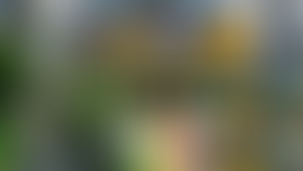 กรุงศรีฉลอง Pride Month รวมพลังความหลากหลาย สู่สังคมที่ยั่งยืน