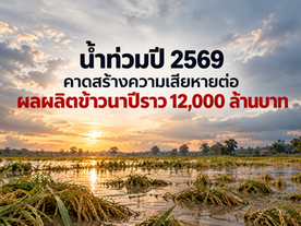 น้ำท่วมปี 2569 คาดสร้างความเสียหายต่อผลผลิตข้าวนาปีราว 12,000 ล้านบาท (ศูนย์วิจัยกสิกรไทย Infographic)