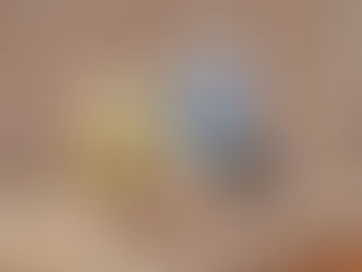 แฮปปี้ แอดดี้ ไอศกรีมวีแกนจากนมอัลมอนด์คั้นสดเจ้าแรกชวนให้อร่อยแบบฟิน ๆ แบบไม่กลัวอ้วน