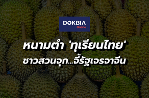 หนามตำ 'ทุเรียนไทย'