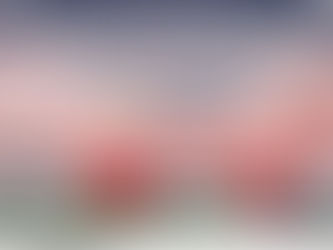 เปิดตัวแบบบ้านใหม่ล่าสุดจาก BNC HOME BUILDER ที่งาน Thailand Smart Money จันทบุรี 2025