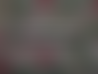 วิบากกรรมค่าเงินลีรา กับประเด็นความเชื่อมั่นเศรษฐกิจ และความเป็นอิสระของธนาคารกลาง 