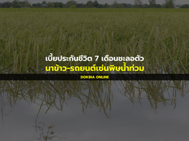 เบี้ยประกันชีวิต 7 เดือนชะลอตัว: นาข้าว-รถยนต์เซ่นพิษน้ำท่วม