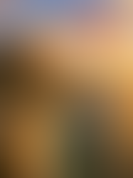 Learn exactly how to book a tandem paragliding flight in Rio de Janeiro.