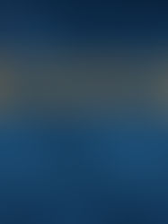 🏆 Travellers’ Choice 2025: Why We’ve Been Voted Top 10 in the World for 9 Years by TripAdvisor