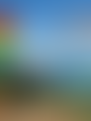 The Golden Rule of Safety Flags