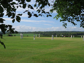 Brigands Cricket Video