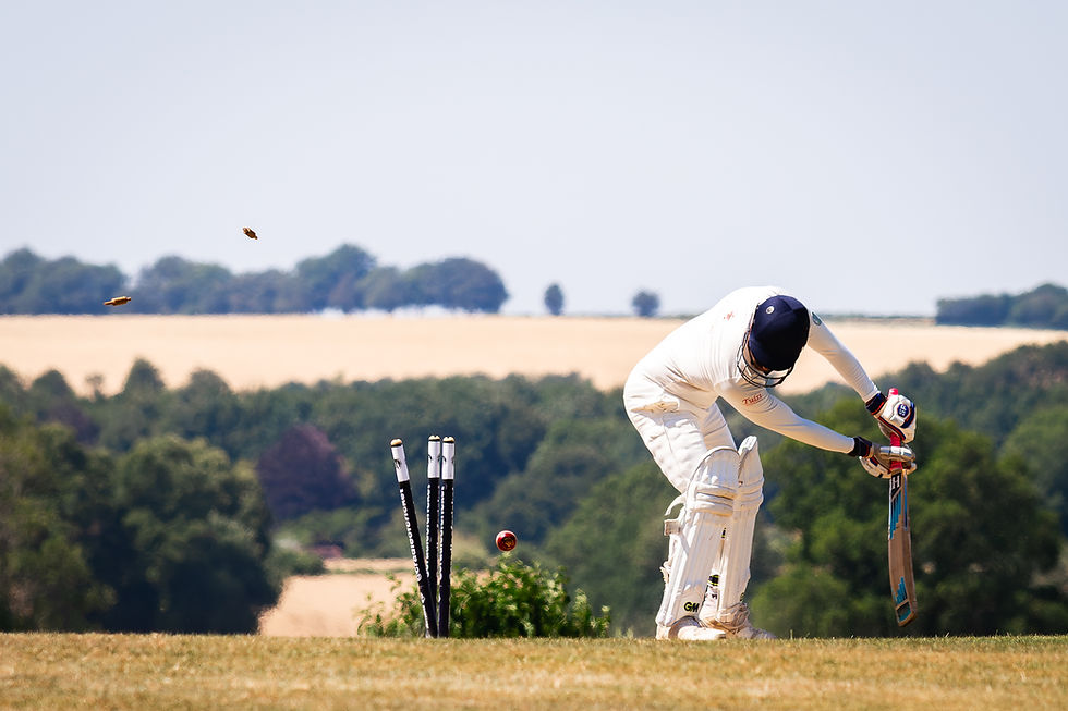 A wicket for the Brigands