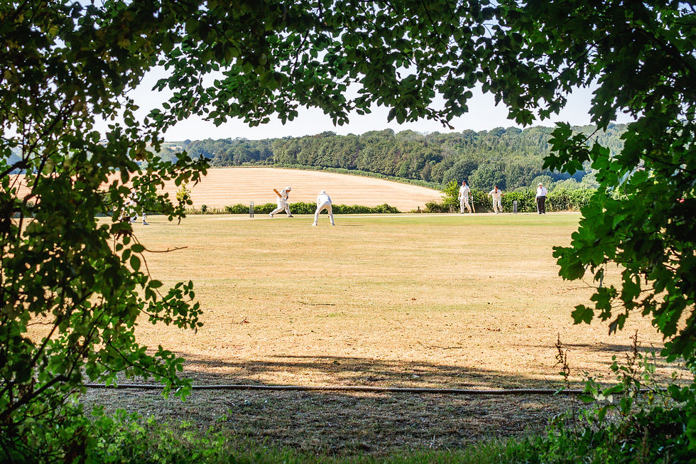 The view from the copse, in the shade