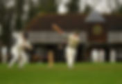 The Revered Judges at Broadhalfpenny Down