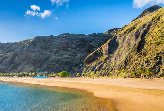 Schermafbeelding 2026-02-06 om 16.44.54.png