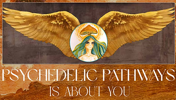 Schermafbeelding 2025-09-12 om 15.14.46.png