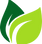 leaf png.png