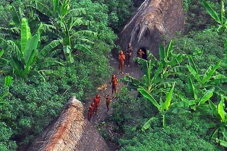 Imagem aérea de uma Kawahiva | Foto: FUNAI