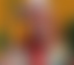 Lula destaca importância da Transnordestina e anuncia retomada das obras com investimento bilionário