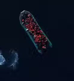 250 pessoas desaparecidas em naufrágio no Oceano Índico