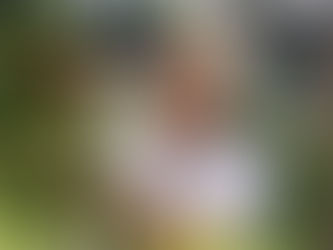 A brasileira irmã Rosita Milesi é premiada pela ONU com o reconhecimento global por sua atuação em prol dos refugiados