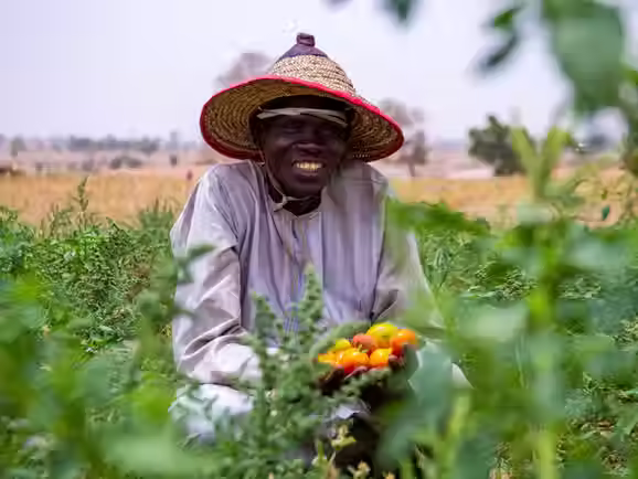 PAÍSes precisam diversificar produção para garantir segurança alimentar, diz FAO