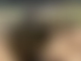 Explorar ou não explorar?