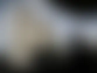 O chefe dos Direitos Humanos da ONU afirmou que o mundo precisa agir diante do momento mais sombrio do conflito em Gaza