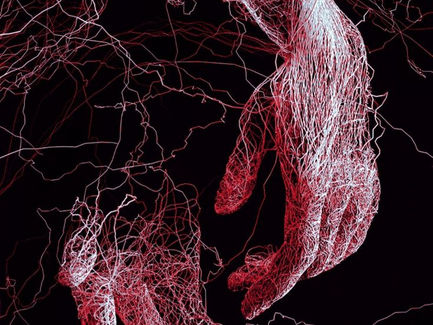 Estudo Chinês Revela o Papel Crucial dos Sulfetos de Ferro na Origem da Vida