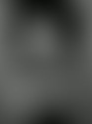 Trump sugere que Ilhan Omar teria encenado ataque em Minneapolis