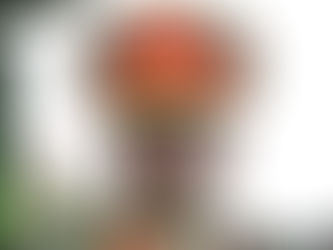 Chefe do exército de Uganda irrita Ancara e exige 'US$ 1 bilhão e uma noiva turca'