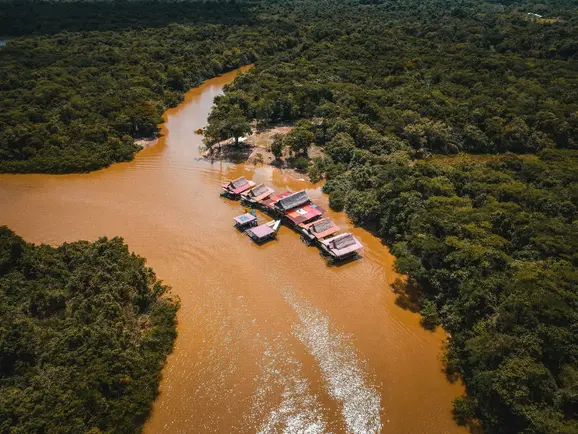 Desmatamento na Amazônia diminui 30,6% e no Cerrado 25,8% em 2024