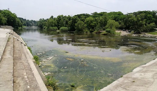 RIO VALLES.jpeg