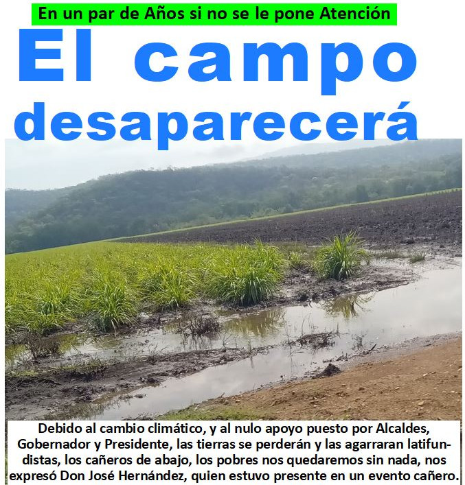 REDES CAÑA.JPG