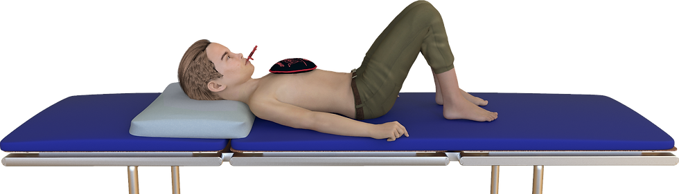 01REED-12 (2019) 1 Flowbag